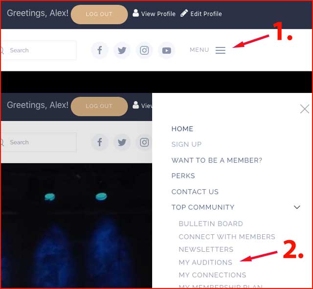 MyAuditions Optimized